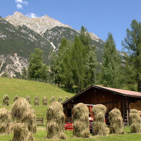 Haus Elisengrund Am Geigenbuehel - Chalet Prive ゼーフェルト・イン・チロル エクステリア 写真
