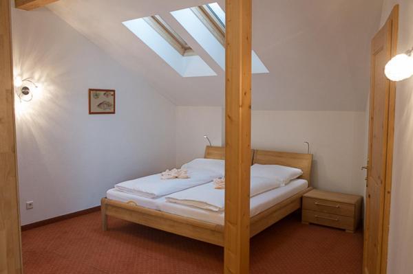 Haus Elisengrund Am Geigenbuehel - Chalet Prive ゼーフェルト・イン・チロル エクステリア 写真