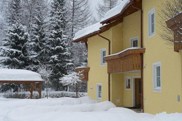 Haus Elisengrund Am Geigenbuehel - Chalet Prive ゼーフェルト・イン・チロル エクステリア 写真