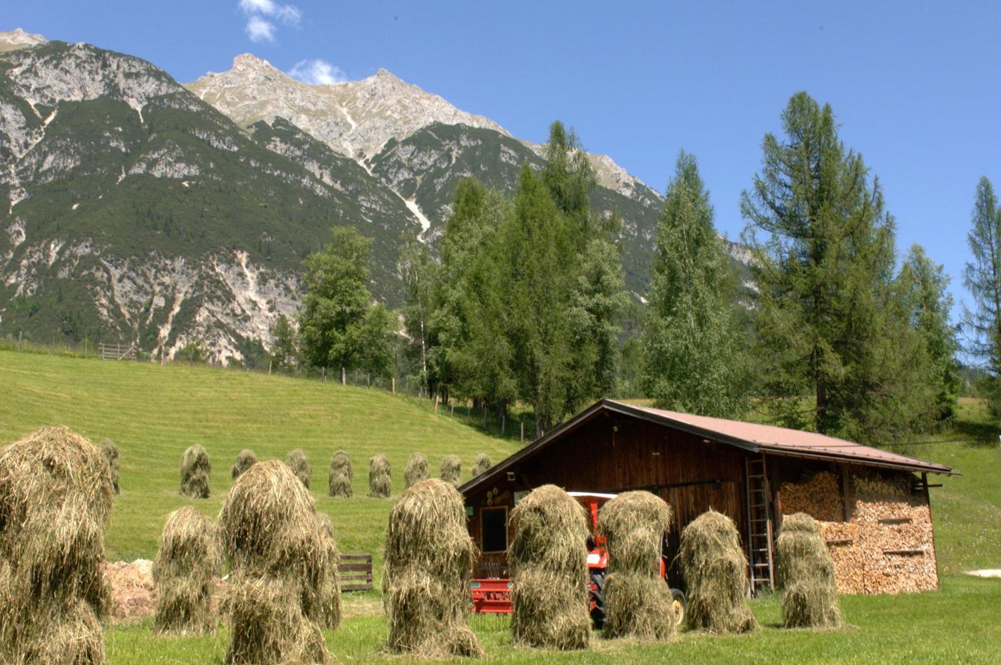 Haus Elisengrund Am Geigenbuehel - Chalet Prive ゼーフェルト・イン・チロル エクステリア 写真