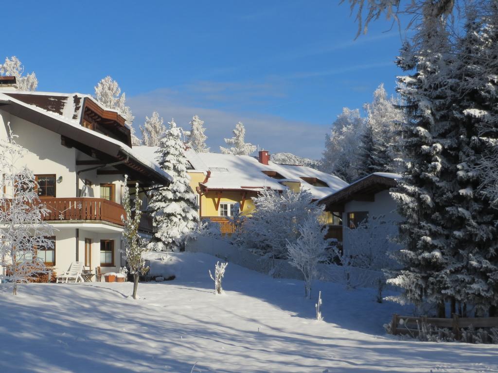 Haus Elisengrund Am Geigenbuehel - Chalet Prive ゼーフェルト・イン・チロル エクステリア 写真