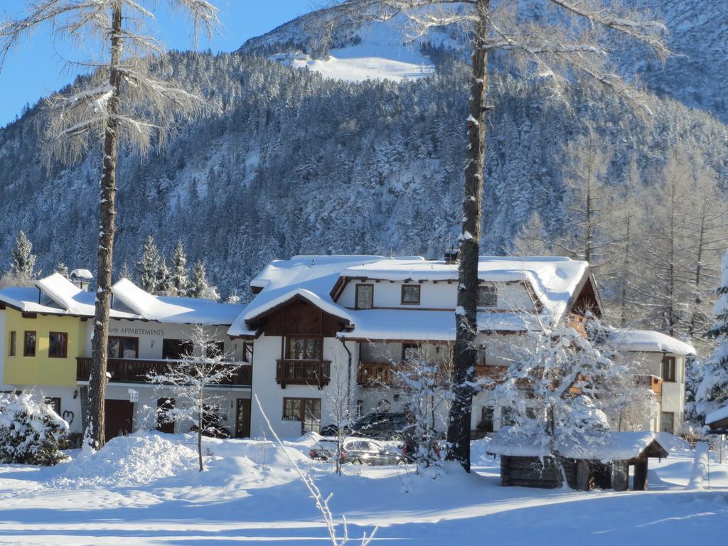Haus Elisengrund Am Geigenbuehel - Chalet Prive ゼーフェルト・イン・チロル エクステリア 写真