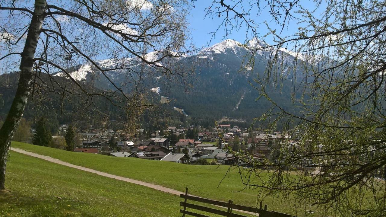 Haus Elisengrund Am Geigenbuehel - Chalet Prive ゼーフェルト・イン・チロル エクステリア 写真
